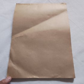 法定代表人证明书（空白一本50页，附存根）