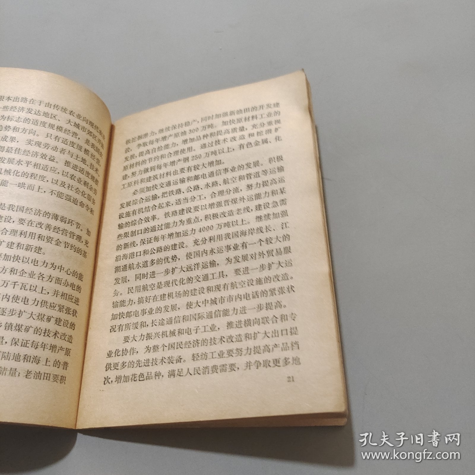 政府工作报告