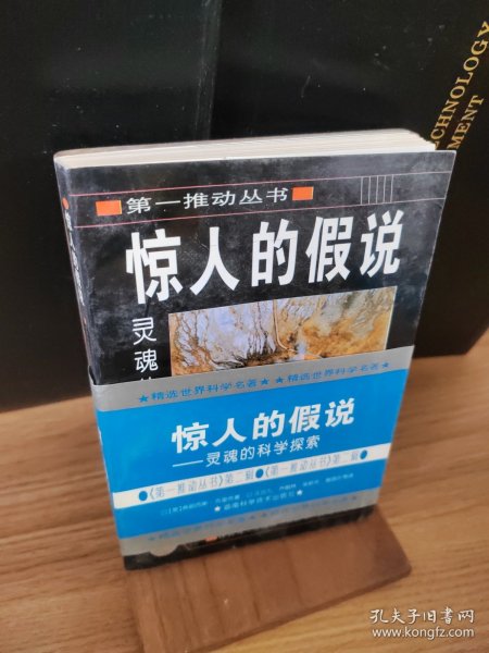 惊人的假说：灵魂的科学探索