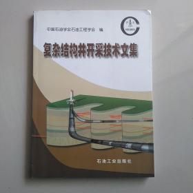 复杂结构井开采技术文集