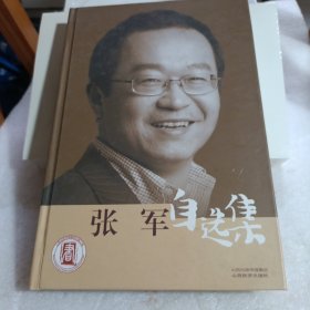 张军自选集