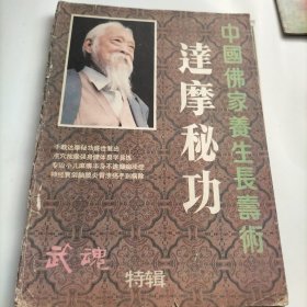 武魂特辑，中国佛家养生长寿术，达摩秘功，武术，气功，点穴，按摩，疗法，