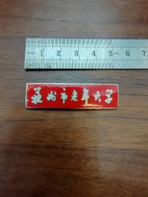 徽章苏州市老年大学校徽