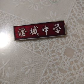 澄城中学校徽