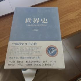 世界史：从史前到21世纪全球文明的互动  全新未拆封