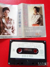 磁带 8盘:(李玲玉 午夜街头)+( 磁带:林依轮--爱情贵族(附歌词) )+(磁带 明星在哪里 )+(磁带 程志 星光灿烂)+磁带 张也《走进新时代》+(磁带 蒋大为 飞向明天的新生活 中国歌唱家系列 )+(磁带 群星汇萃 许冠杰告别歌坛)+(磁带 歌唱家精选 祝酒歌