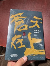 陆天明当代作品精选：苍天在上