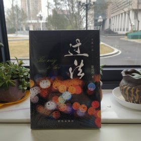 过法（继《转身》《重来》之后，彭闪闪又一全新力作）