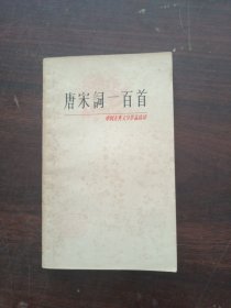 中国古典文学作品选读 唐宋词100首
