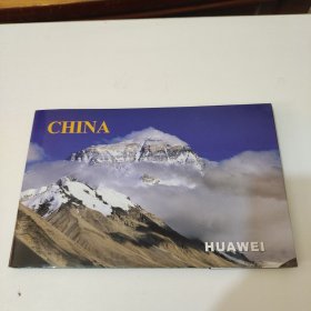CHINA HUAWEI 邮册 内页邮票全