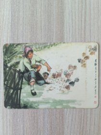 年历卡1974育雏喂鸡年历片