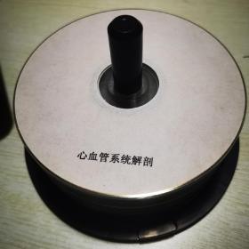 心血管系统解剖VCD