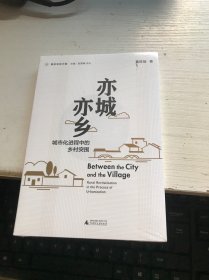 新民说·重新发现中国·亦城亦乡：城市化进程中的乡村突围【未开封】