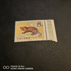T68-1 紫貂色标邮票散票 全品 保真！包邮！收藏