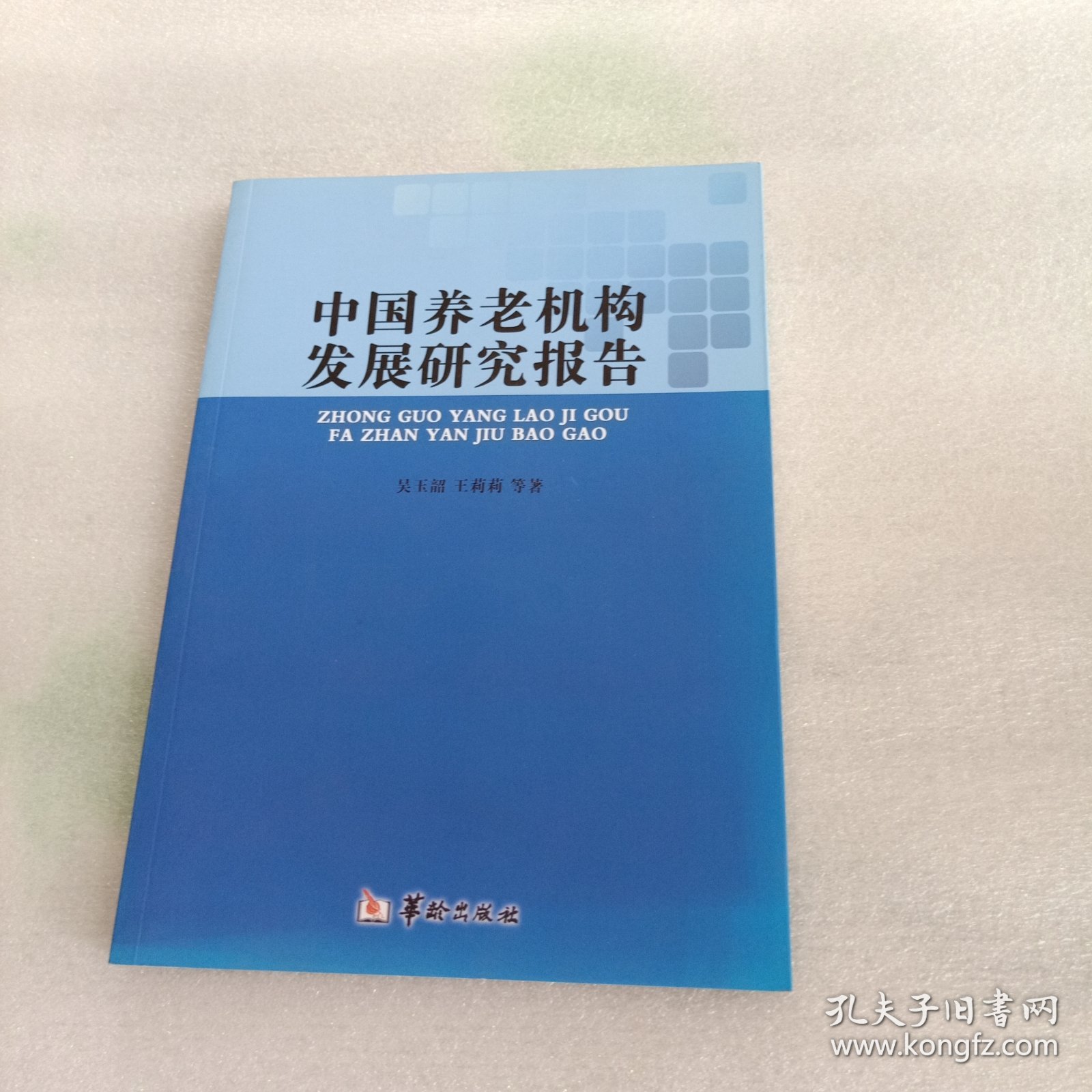中国养老机构发展研究报告