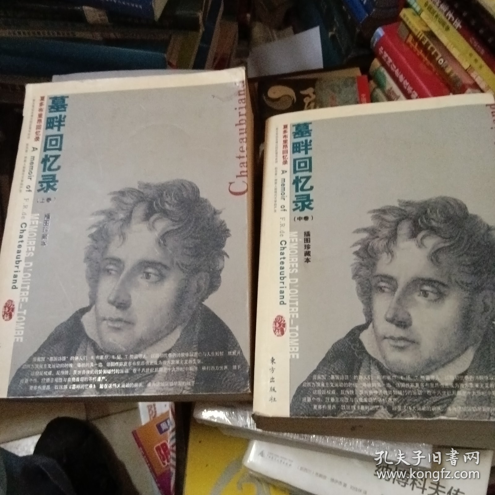 墓畔回忆录（上中卷，缺下卷）