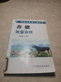 养猪致富诀窍