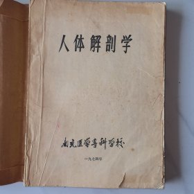 人体解剖学