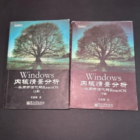 Windows内核情景分析：采用开源代码ReactOS 上下