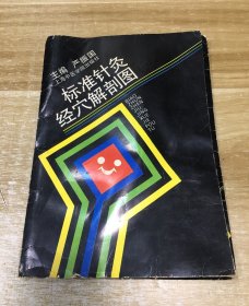 标准针灸经穴解剖图（经穴定位的依据和方法说明书1本+挂图3张彩色经穴图）