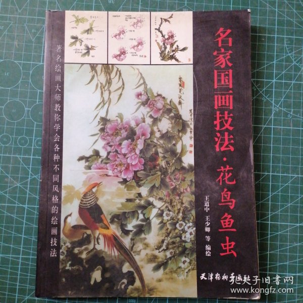 美术教学示范作品：写意草虫画法