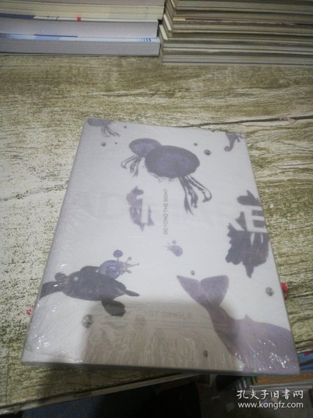 韩国专辑 NMIXX BEYOND THE SIGHT 【外塑封破损】