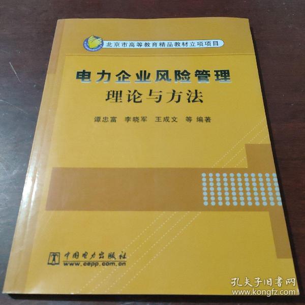 电力企业风险管理理论与方法