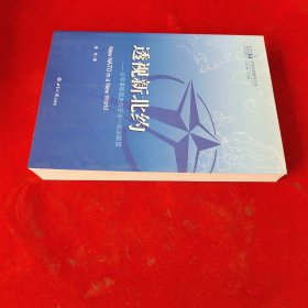 中国北约研究丛书·透视新北约：从军事联盟走向安全一政治联盟