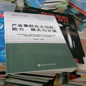 产业集群自主创新：能力、模式与对策