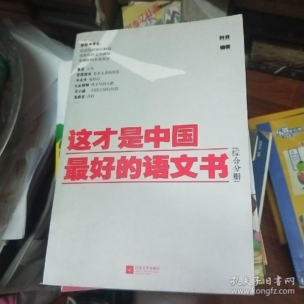 这才是中国最好的语文书：综合分册