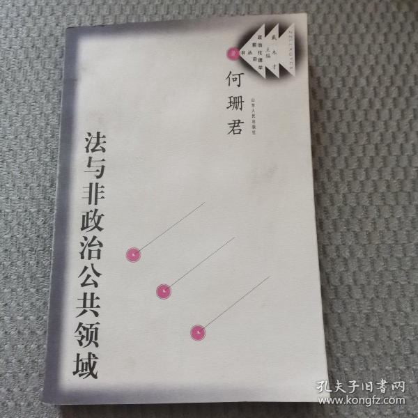 法与非政治公共领域