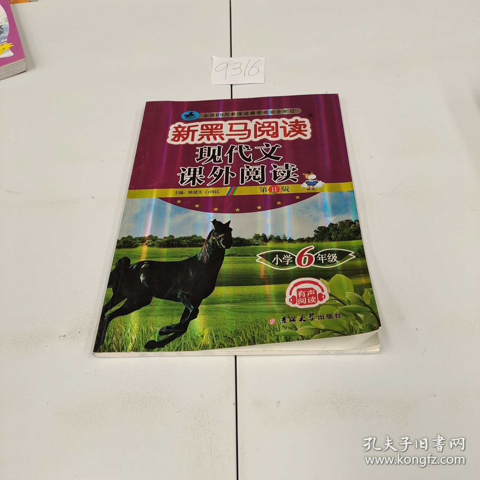 新黑马阅读丛书：现代文课外阅读．小学六年级（2023第11版）