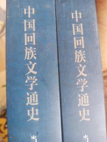 中国回族文学通史 : 当代卷 .上 下册