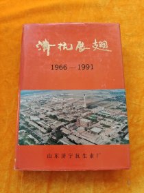 济抗展翅（1966-1991）