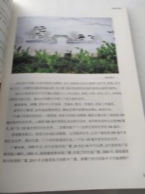 唐嘴村志