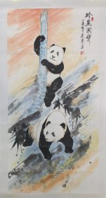 申连庆 代表作 动物画 熊猫 诊异国宝 国画保真