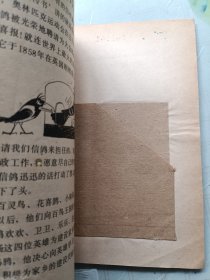黑蝙蝠智取白蛾王