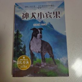 动物小说王国·沈石溪自选中外精品·神犬小宾果