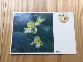 早期中国邮政(获奖）明信片：黄鸢尾(共10枚）