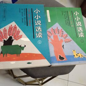 小小说选读①②