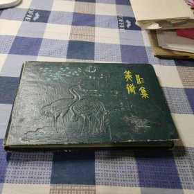 美术影集【带照片】