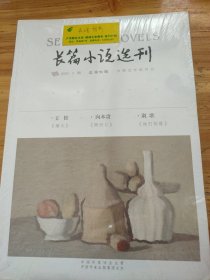 长篇小说选刊（2020年第2期）