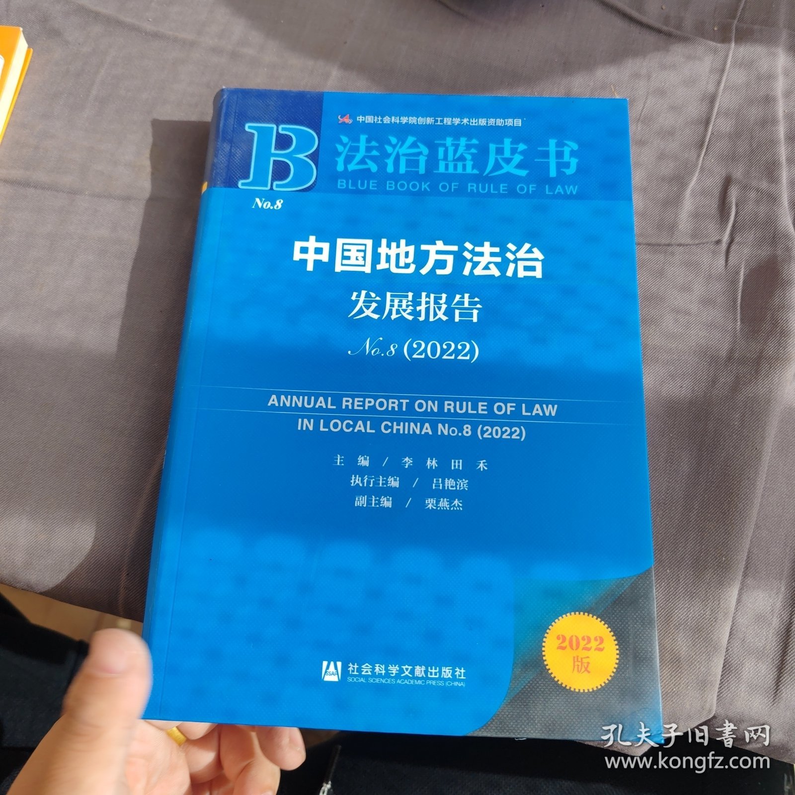 法治蓝皮书：中国地方法治发展报告No.8（2022）