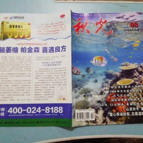 2024年08秋光