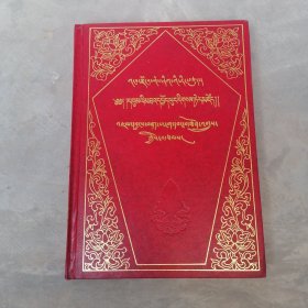 入中观论探讨教理宝藏（藏文）