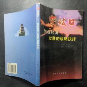 突破口:陕西经济发展的战略抉择