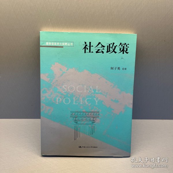 服务型政府大视野丛书：社会政策