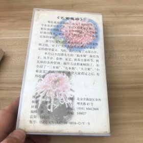 艺菊栽培 录像带