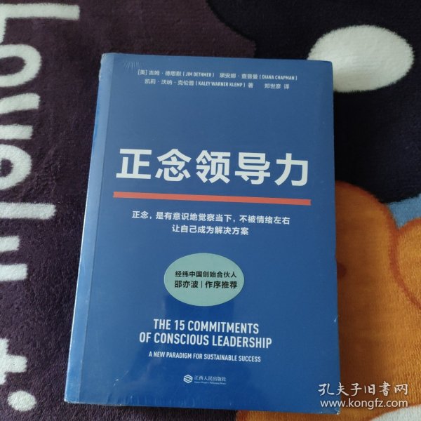 正念领导力（经纬中国创始合伙人邵亦波作序！一本从心出发的领导力之书！）