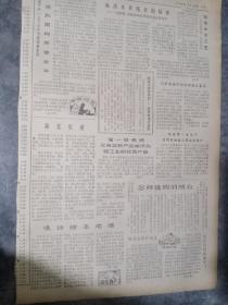 酒文化资料: 1983年漫话山东省即墨老酒等老报纸一页两面